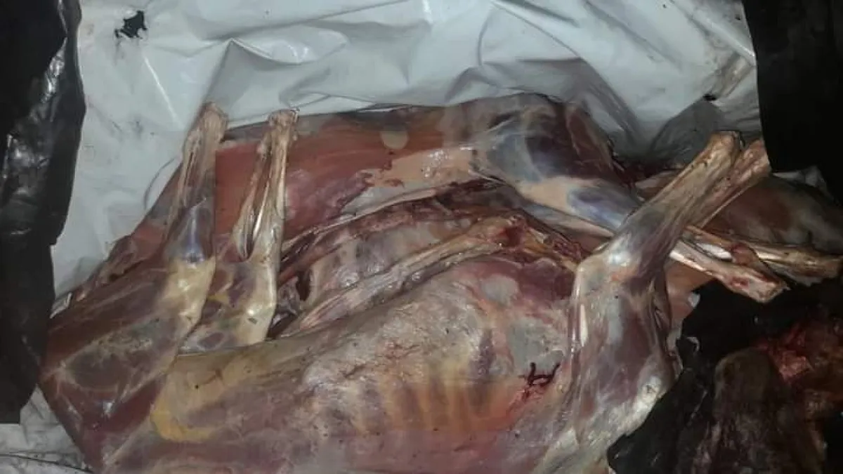 IMG_20231110_143736_(1200_x_675_píxel)