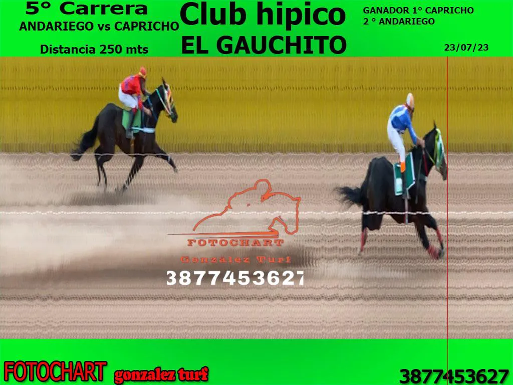 648e1c61-bceb-48c6-bed1-9aee42379367