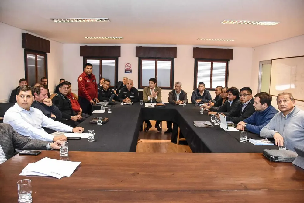 senadores