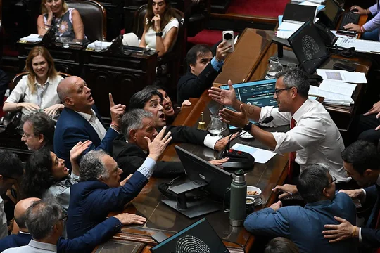 diputados menem