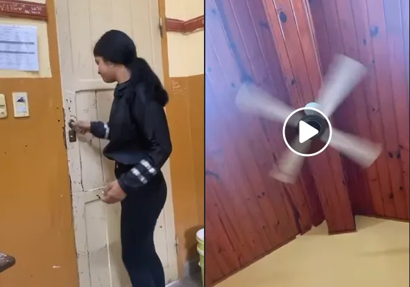 salta fore alumn coleg