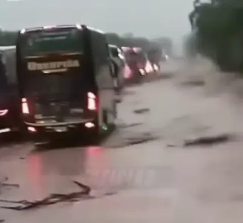 RUTA
