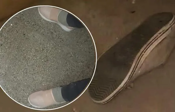 multimedia.miniatura.a0c19b2d0b5561fa.emFwYXRpbGxhX21pbmlhdHVyYS5qcGc=