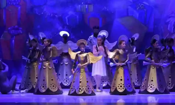 105475-el-cascanueces-accesible-el-ballet-de-la-provincia-invita-a-personas-con-discapacidad-a-una-funcion-adapada