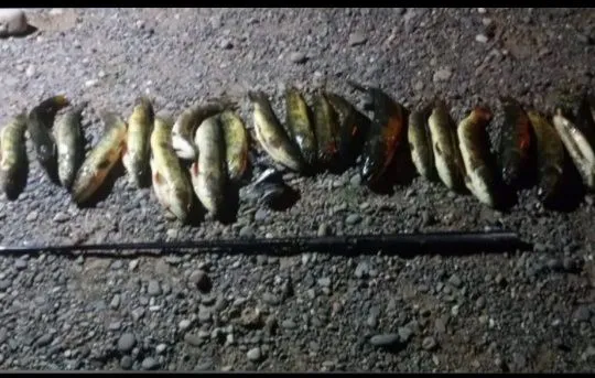 598363517_3052753654927666_2019569688009750132_n