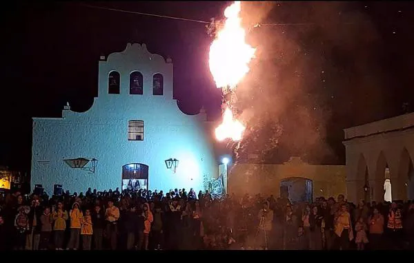 Judas cachi