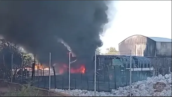 incendio salta forestal