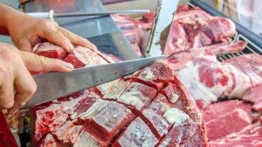 carne