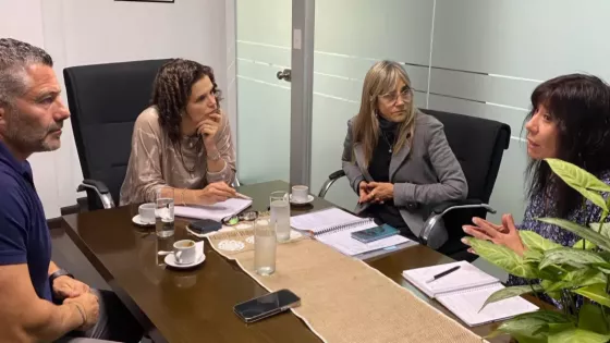 101502-analizan-un-proyecto-de-ley-que-fortalezca-la-educacion-emocional-en-las-escuelas-saltenias