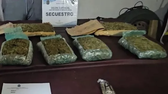 23576-secuestran-mas-de-12-mil-dosis-de-marihuana-en-tartagal