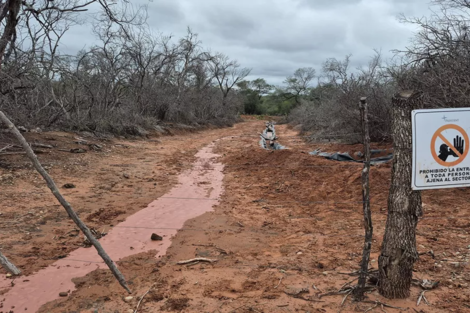 940233-descarga-20-2827-29