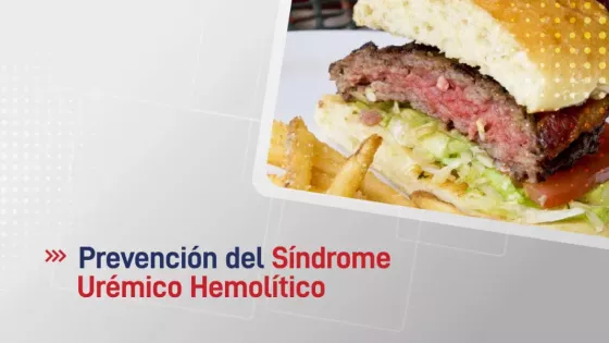 103308-el-sindrome-uremico-hemolitico-se-puede-prevenir-cuidando-la-preparacion-de-alimentos