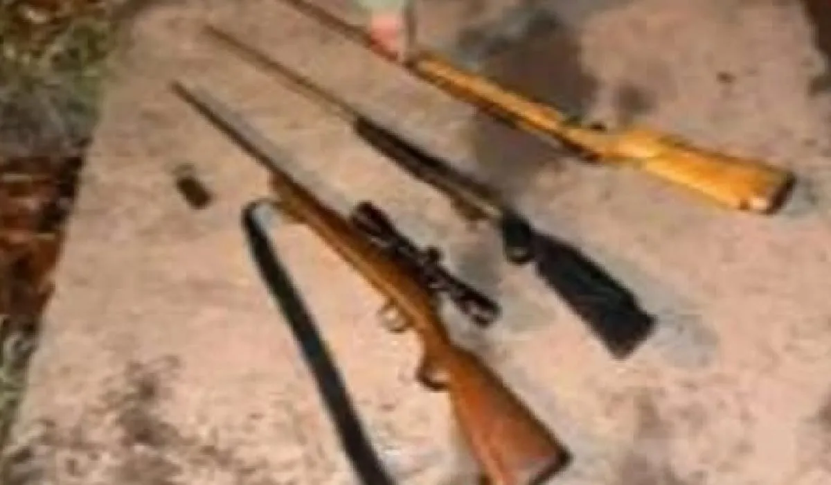 Armas de fuego