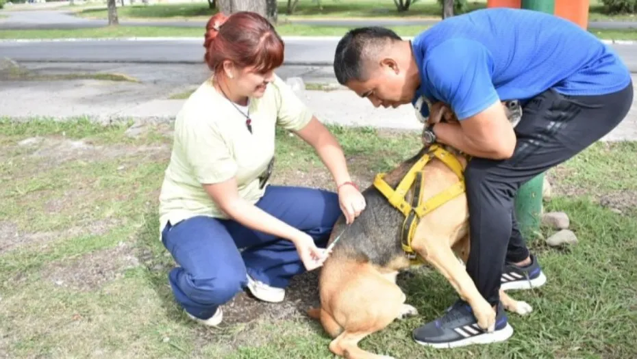 IMG_20240305_171343_(930_x_525_píxel)