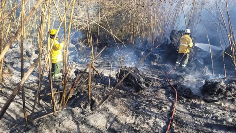 IMG_20240703_154102_(930_x_525_píxel)