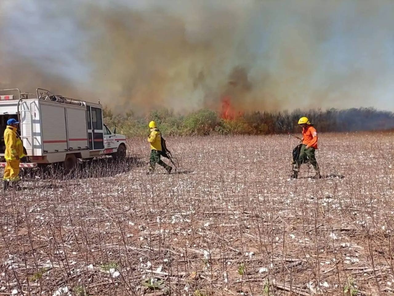 FB_IMG_1755866379098