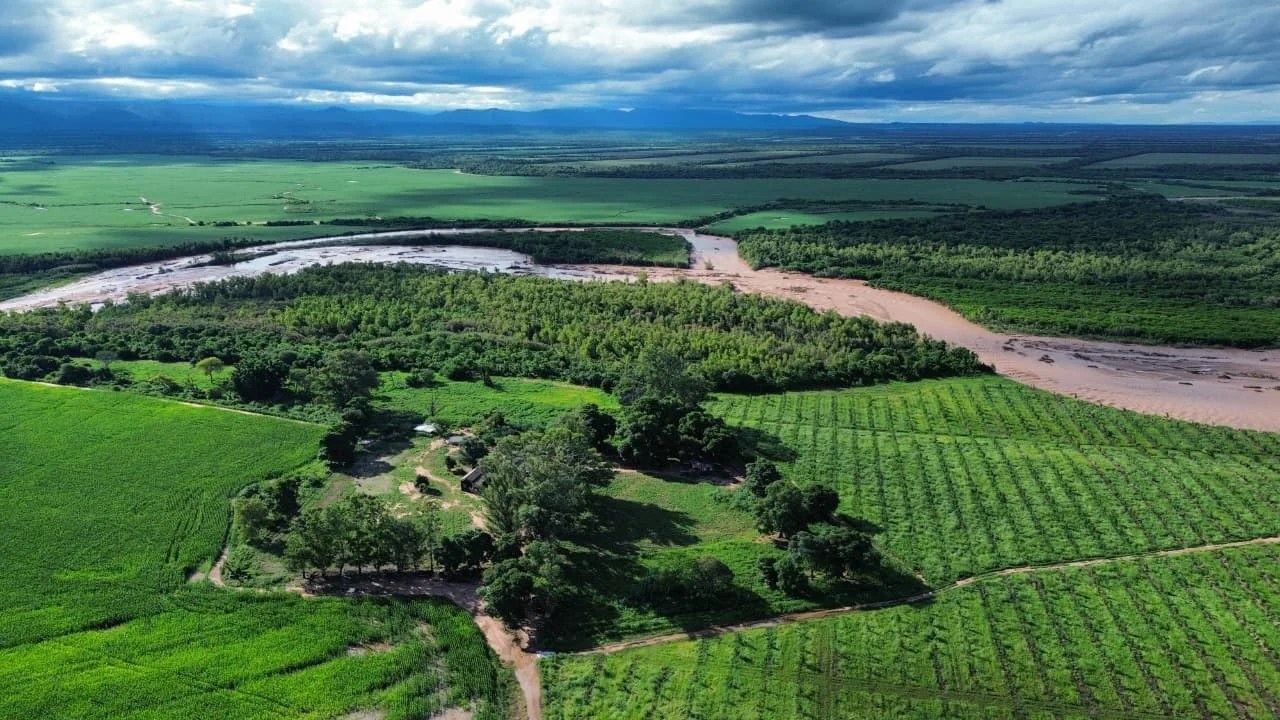 Río Dorado
