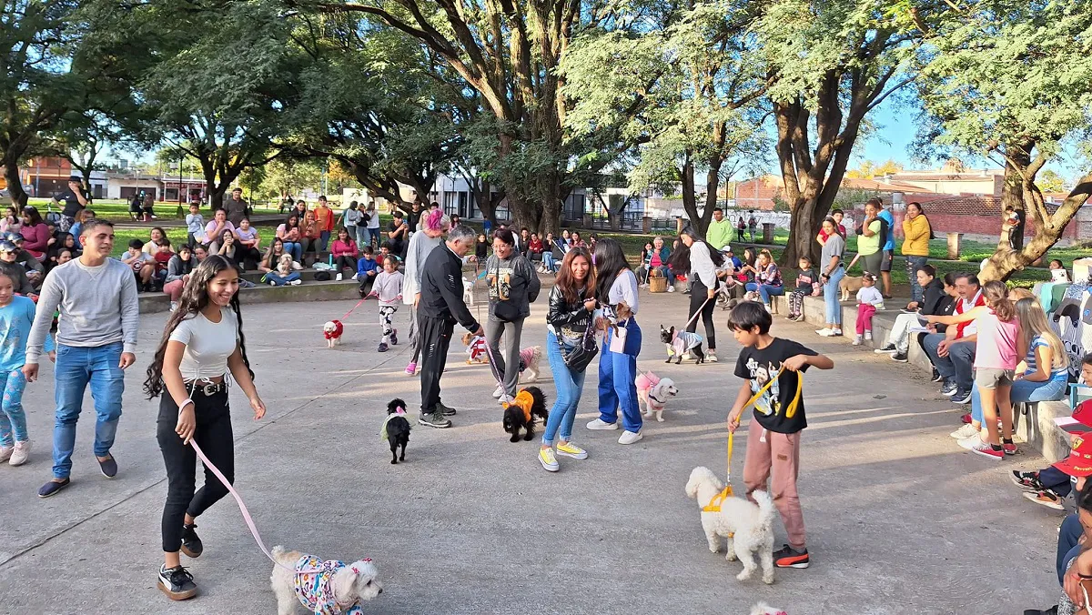 Desfile de mascotas