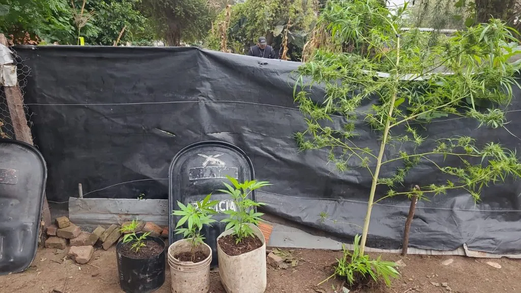 Imagen-de-WhatsApp-2024-05-07-a-las-20.46.00_10e2d4b9-1024x576