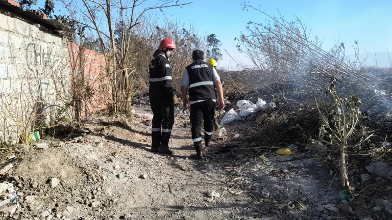 proteccion-768x432