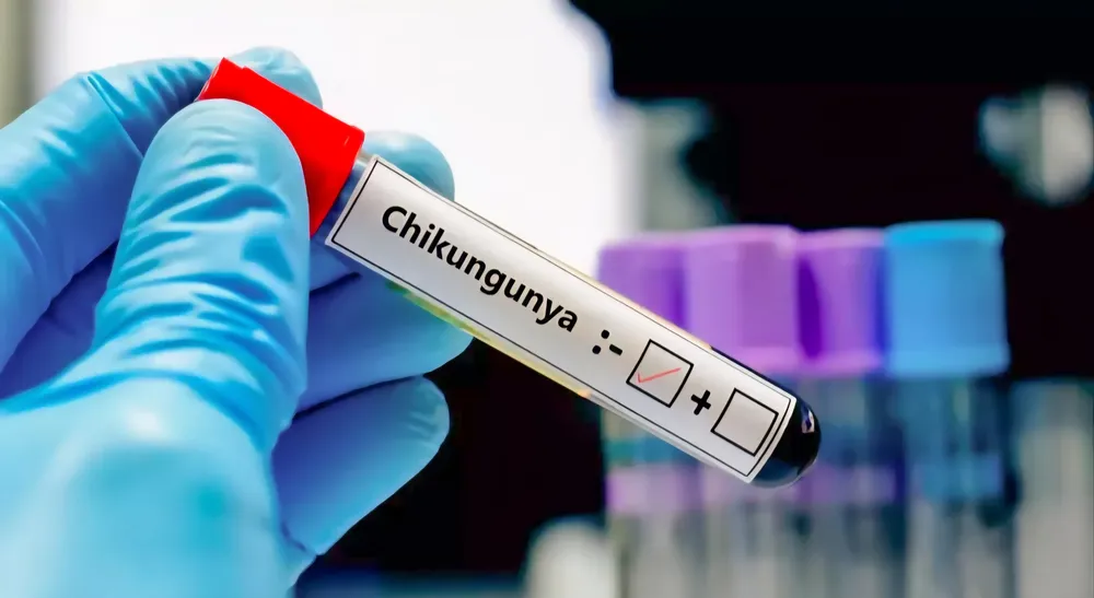 Screenshot_20260225_182900_Chrome