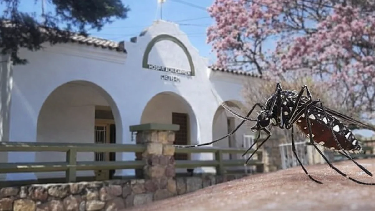 Chikungunya