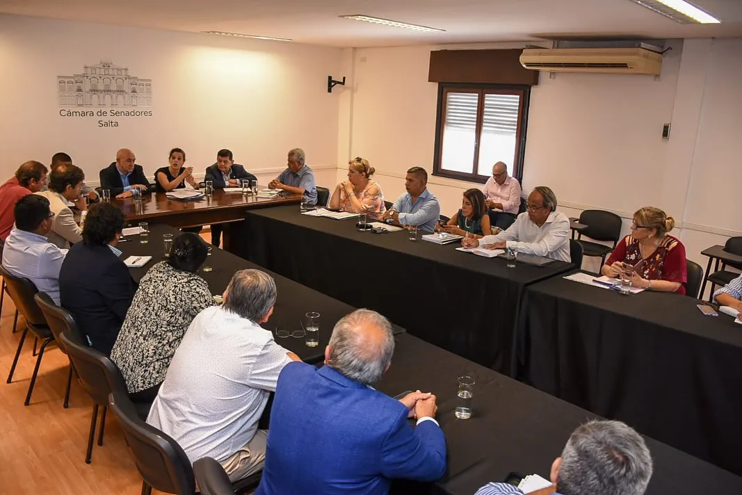Fiore y senadores