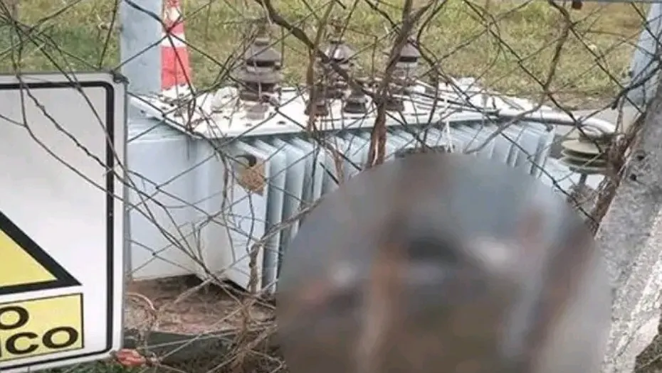 IMG_20240708_165313_(930_x_525_píxel)