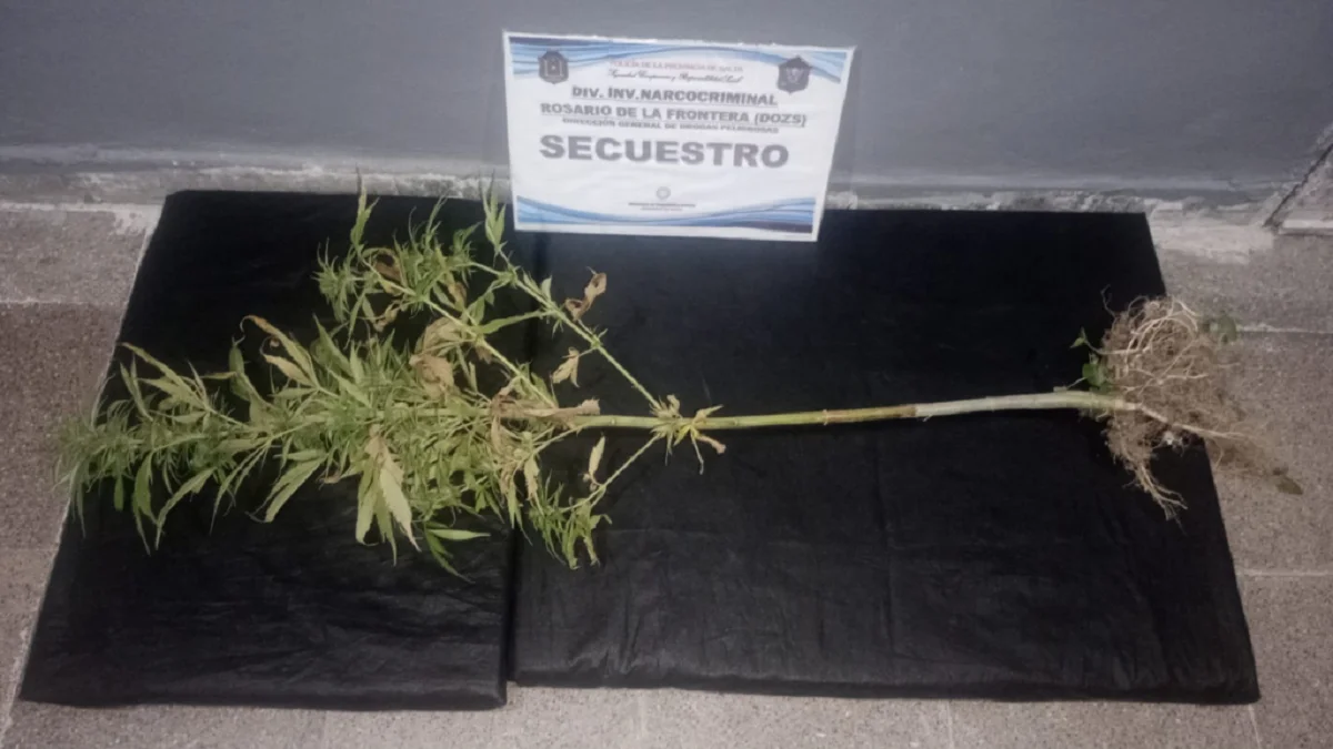 marihuana