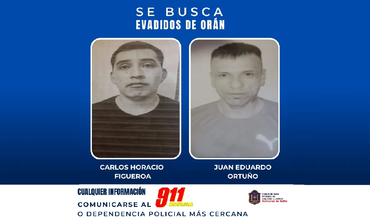 WhatsApp-Image-2025-04-18-at-4.52.33-PM-1