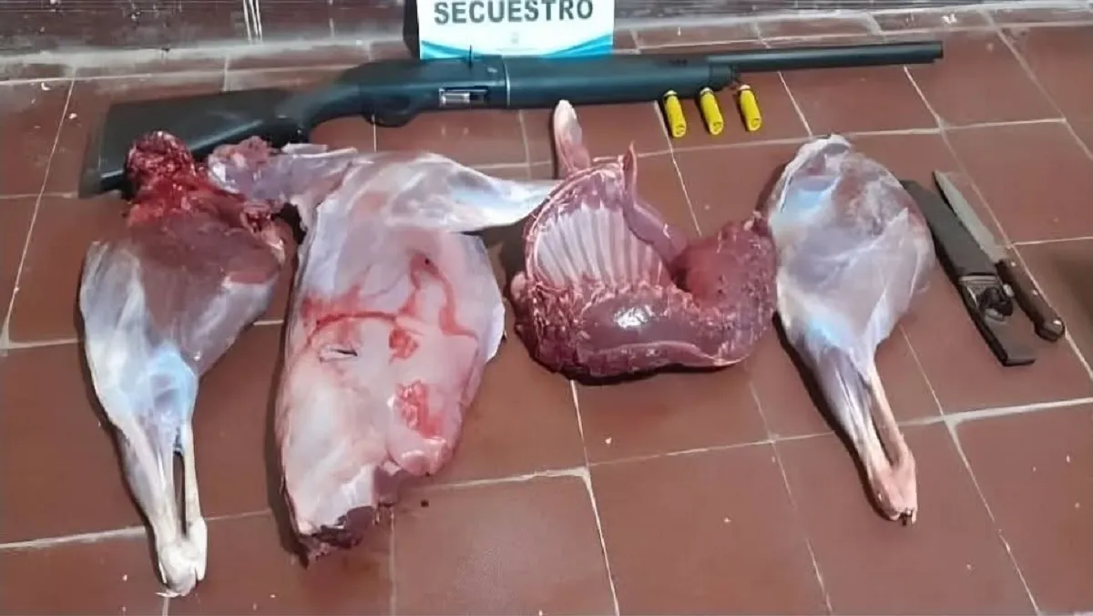 Animal y arma secuestrada