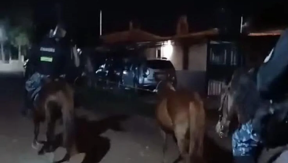 animales sueltos (1)