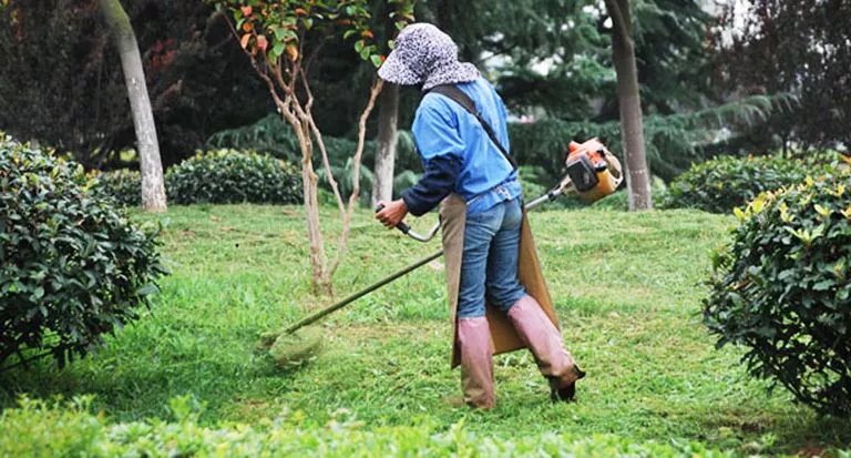changa trabajo cortar pasto