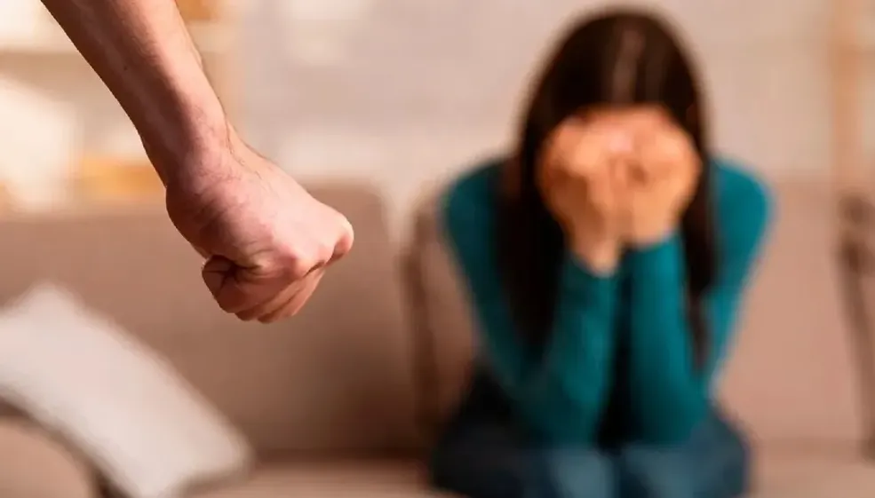 violencia agresi