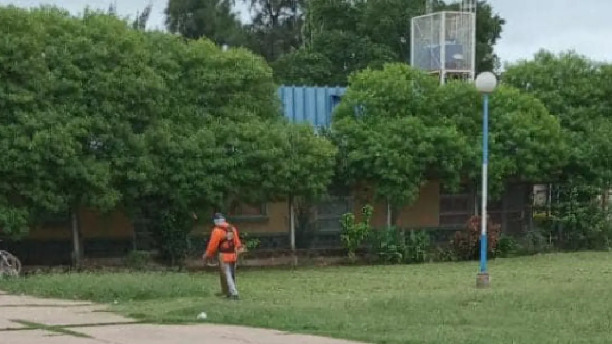 Desmalezado