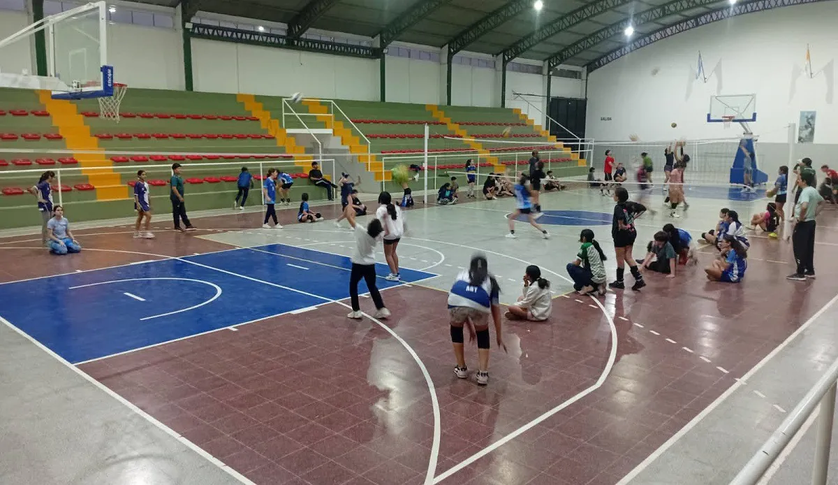 Voley