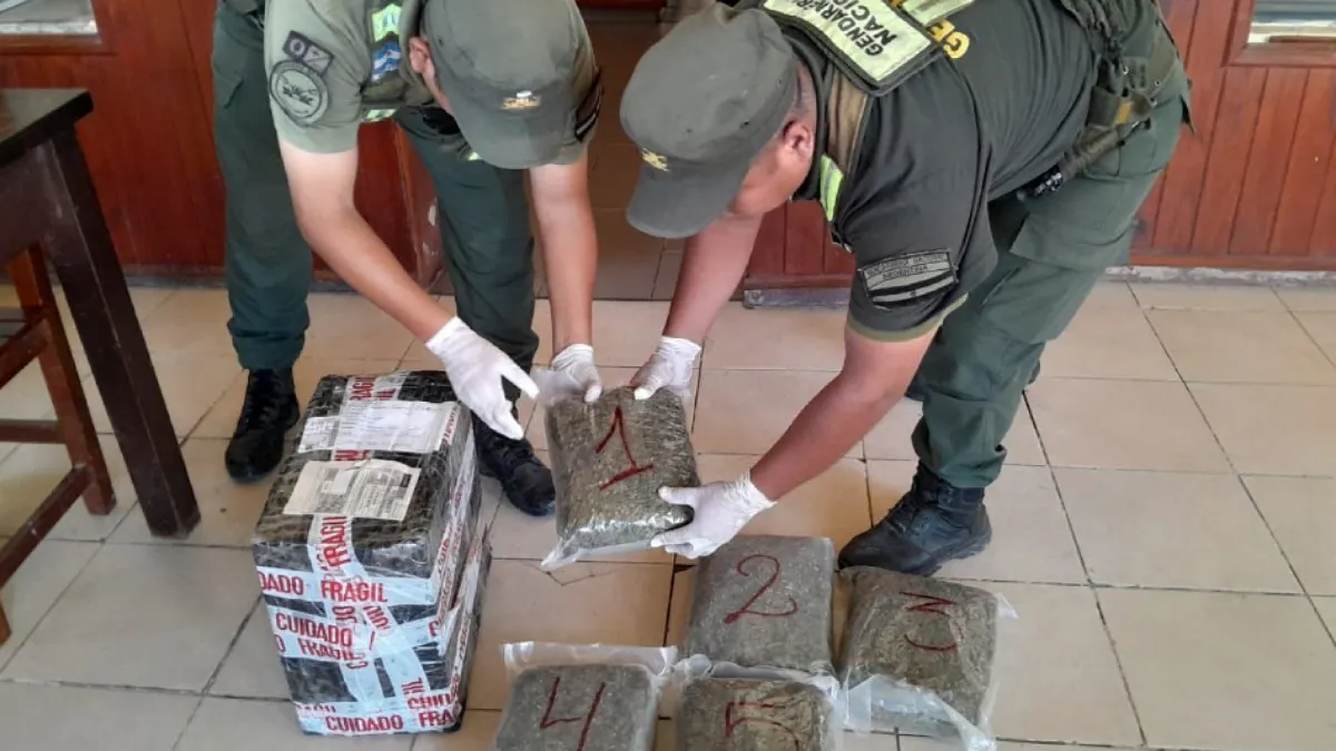 IMG_20251210_182954_(1200_x_675_píxel)