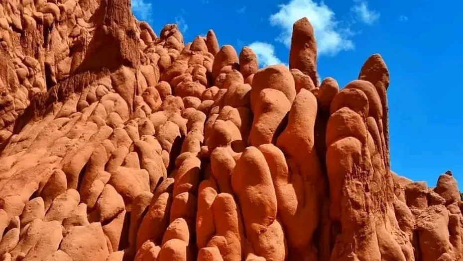 IMG_20240703_175245_(930_x_525_píxel)