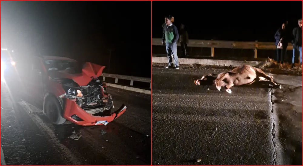 Accidente Ruta 16 El Quebrachal