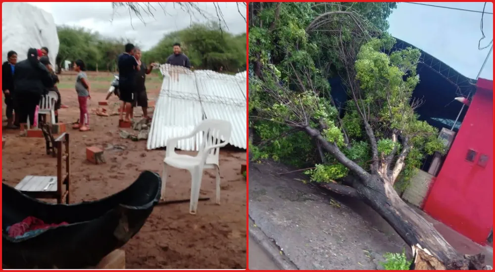 Voladura de techos, árboles y postes caídos: el saldo del temporal en Anta