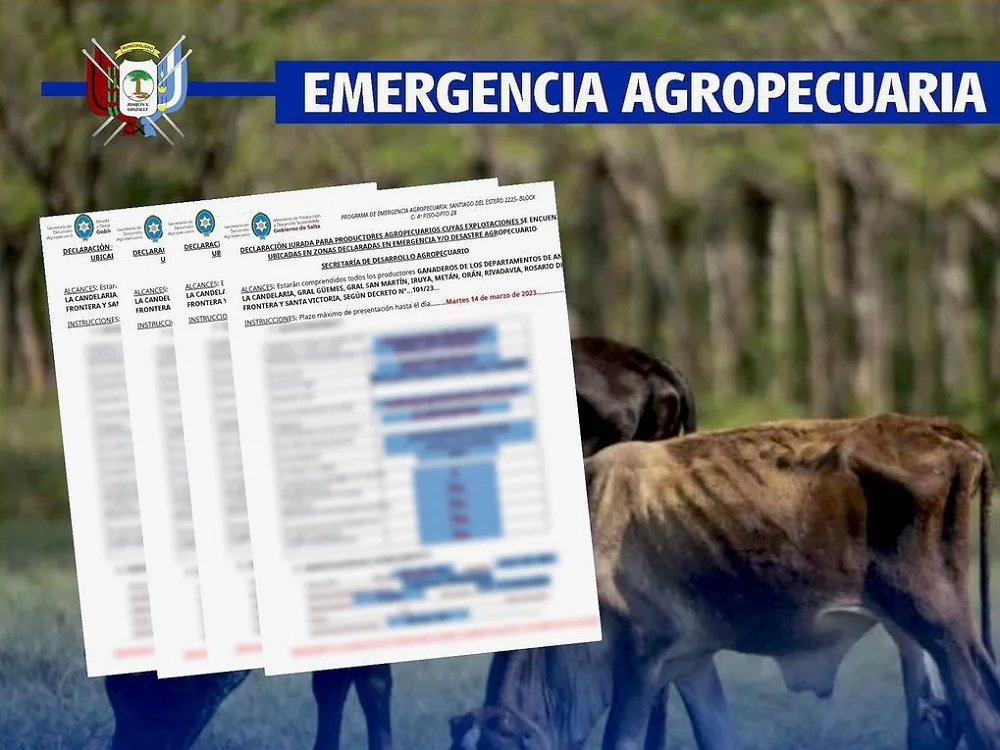 368721627_703235098499259_7106355021783795592_n