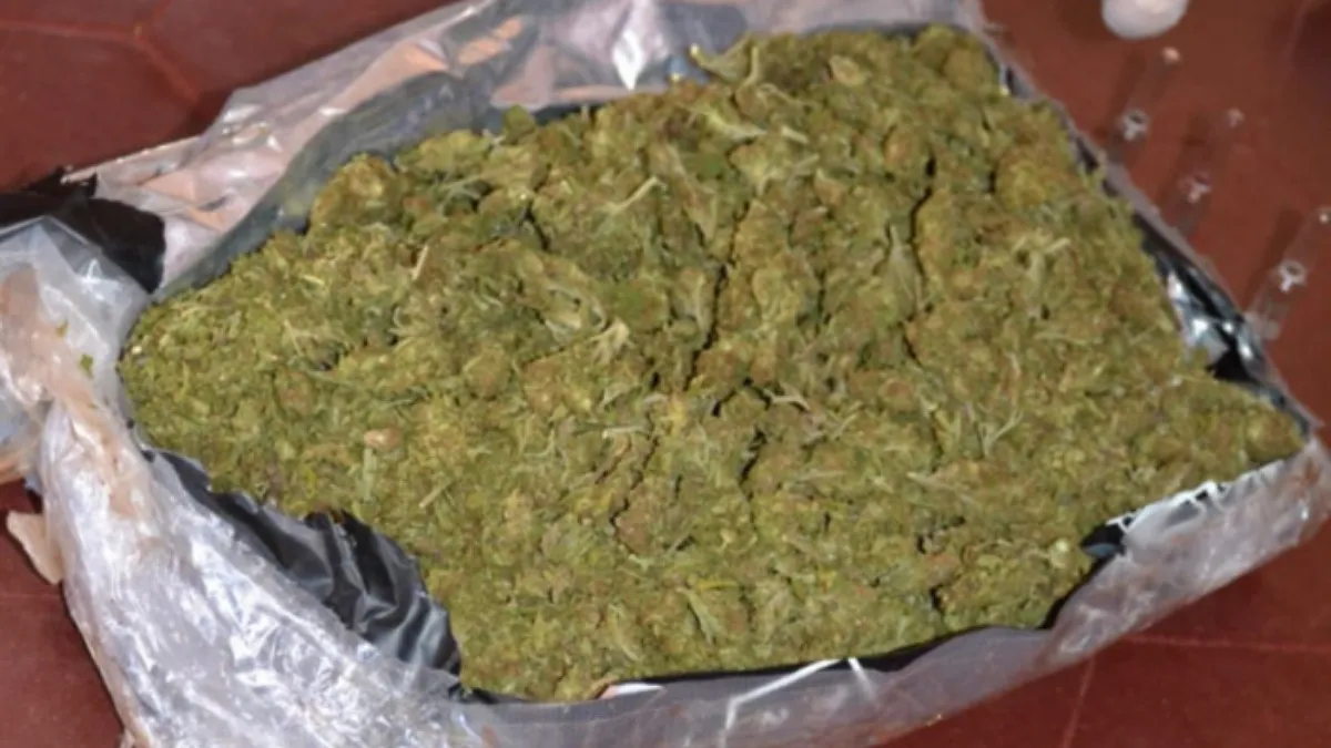 IMG_20251203_165330_(1200_x_675_píxel)