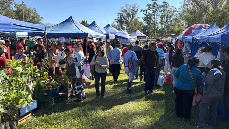 Mercado en tu barrio