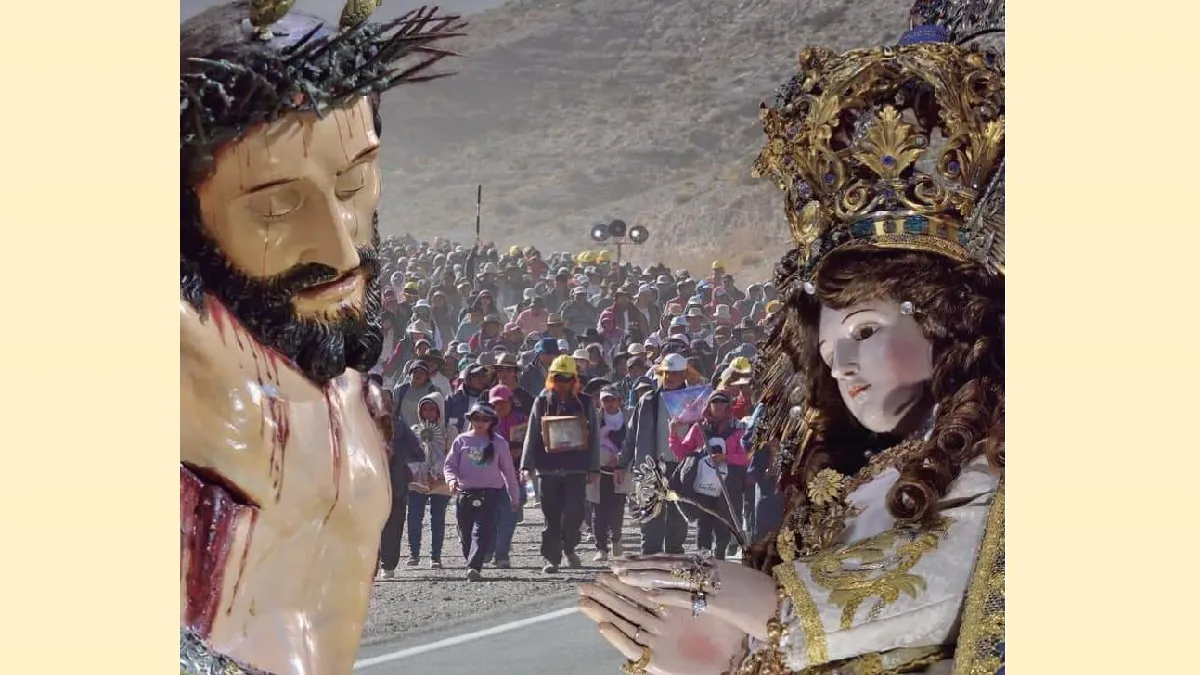 7e6453c8-daf1-4e1f-be76-7a2c8cd67b4e