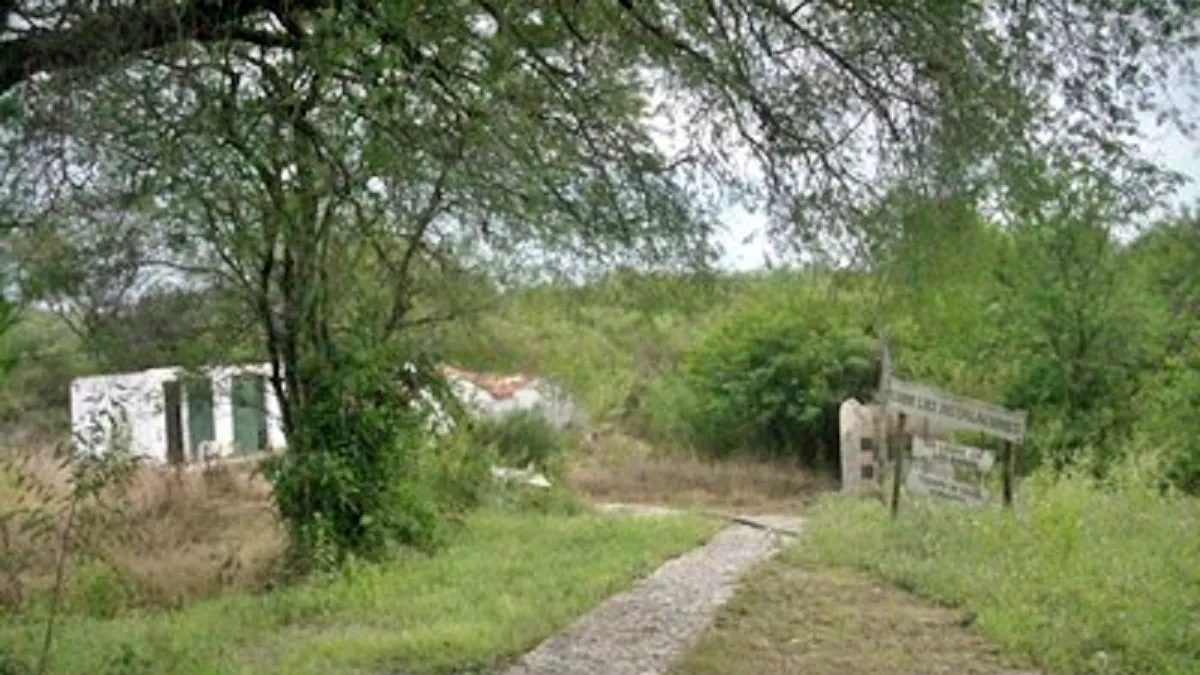 Trekking
