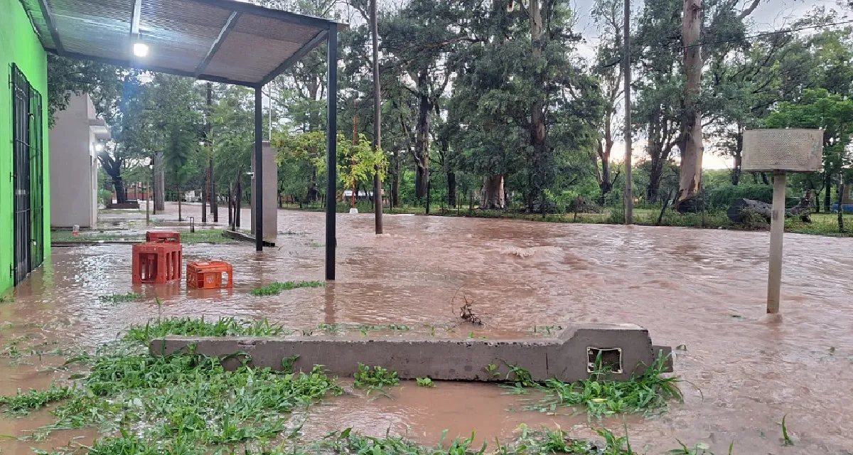 WhatsApp Image 2026-02-06 at 08.54.13