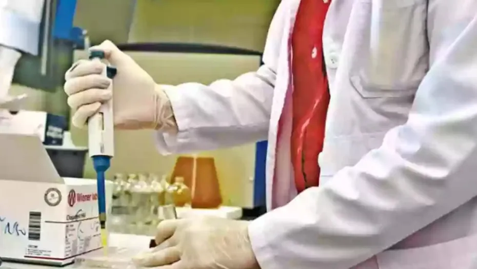 IMG_20241212_162332_(930_x_525_píxel)