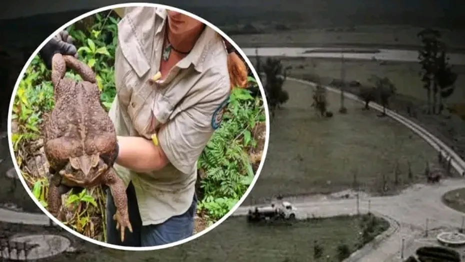 IMG_20240116_171202_(930_x_525_píxel)