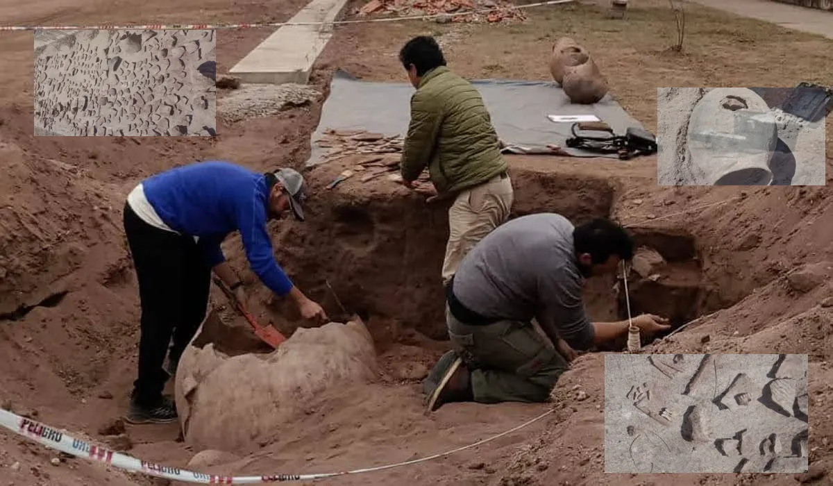 WhatsApp Image 2025-08-05 at 14.58.13