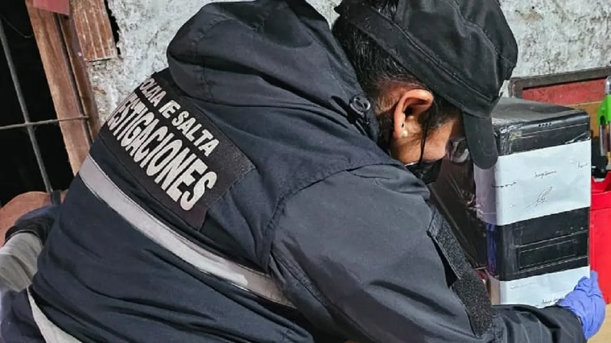 Ciberdelincuencia